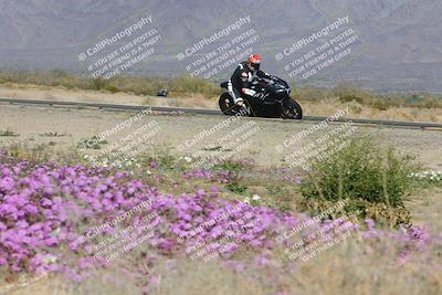 media/Feb-04-2023-SoCal Trackdays (Sat) [[8a776bf2c3]]/Turn 15 Inside Blooming (1050am)/